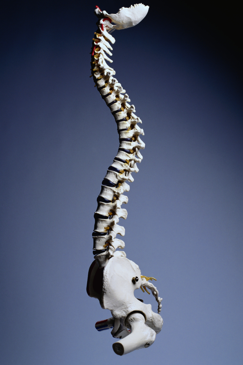 Chiropractic Care - Restore Balance and Relieve Pain